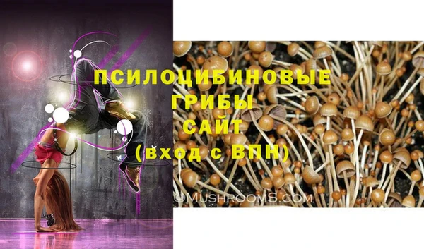 спиды Каменка
