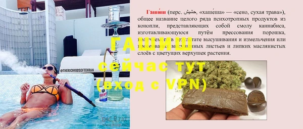 спиды Каменка