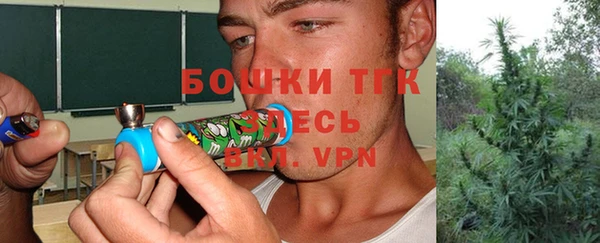 спиды Каменка