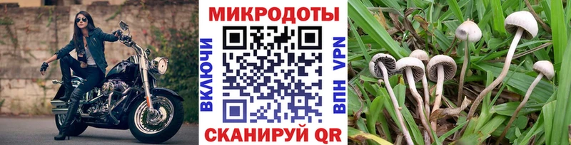 Купить закладки  Семикаракорск  Галлюциногенные грибы мухоморы 